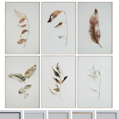 Picture Frame Set 1005 — Ver 1
