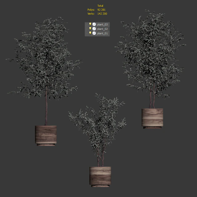 Plants in wooden pots. 3 models — Descargar
