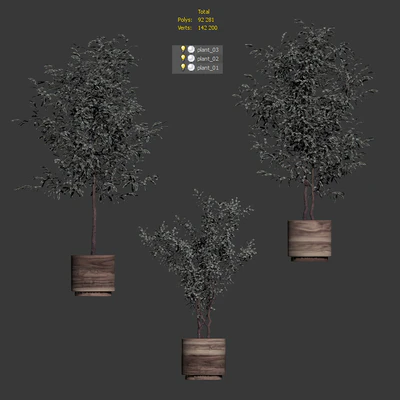 Plants in wooden pots. 3 models — Ver 3