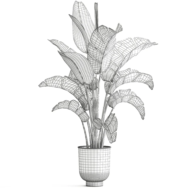 Strelitzia and banana bush in a metal vase and pot in the loft style, ravenala. 1111. — Descargar