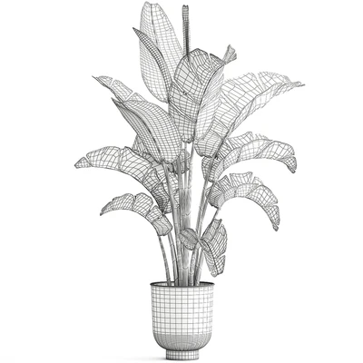 Strelitzia and banana bush in a metal vase and pot in the loft style, ravenala. 1111. — Ver 3