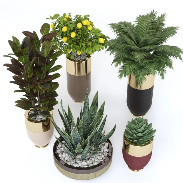 Longhi plant pot godwin cachepot — Descargar