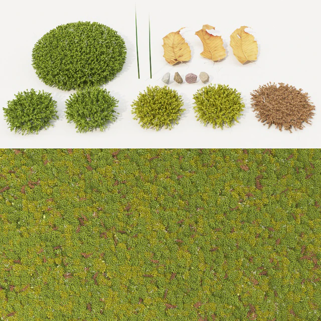 moss collection — Descargar