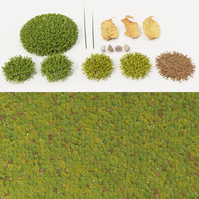 moss collection — Ver 1