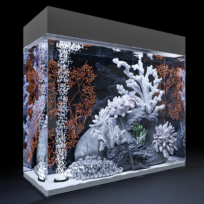 Marine aquarium — View 2