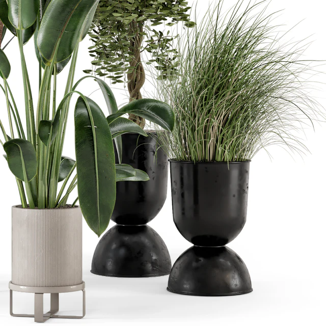 Indoor Plants in Ferm Living Bau Pot Large - Set 312 — Скачать