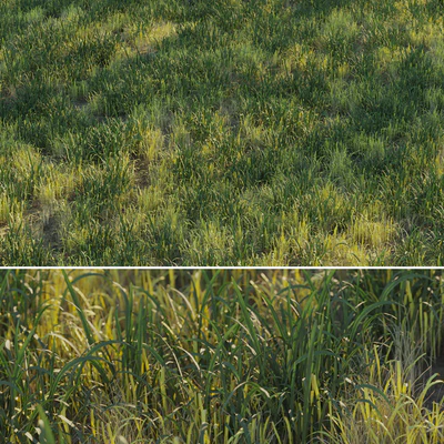 Uncut forest grass collection 03 — Ver 1
