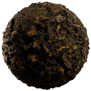 fallen leaves 020 — Скачать