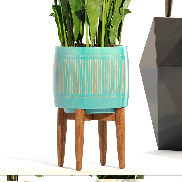 Collection of plants 197. indoor, interior, banana, revenala, Zamioculcas, sansevieria, Schefflera, pot, flower — Descargar