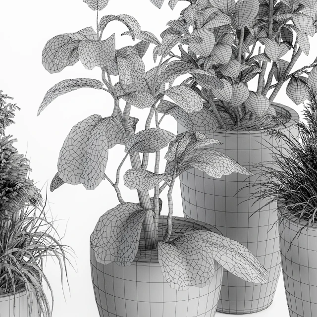 indoor Plant Set 264 - Plant Set in pot — Скачать