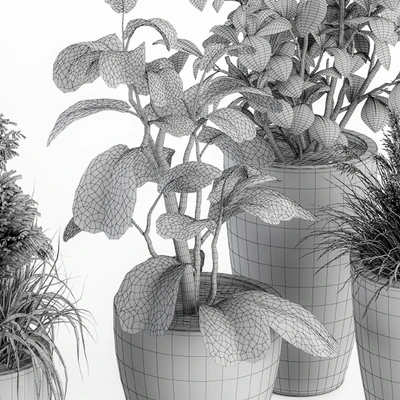 indoor Plant Set 264 - Plant Set in pot — Вид 3