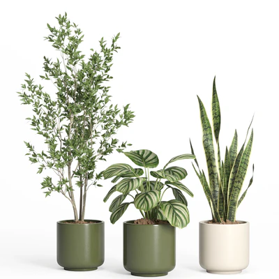 indoor plant set 56- ceramic pot — Ver 2