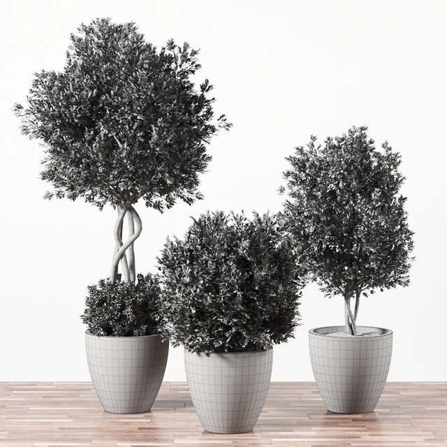 Indoor Plant Set 01 — Скачать