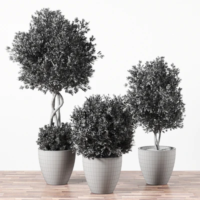 Indoor Plant Set 01 — Вид 2