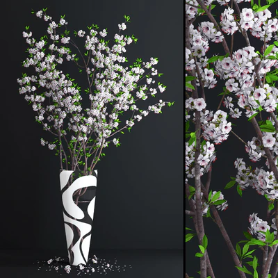 Cherry White Blossom — Вид 1
