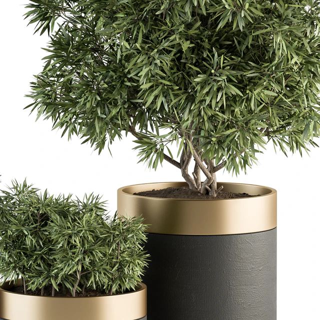 indoor Plant Set 361- Tree and Plant Set in pot — Скачать