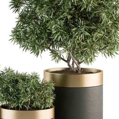 indoor Plant Set 361- Tree and Plant Set in pot — Вид 2