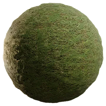 uncut grass 031 — Download
