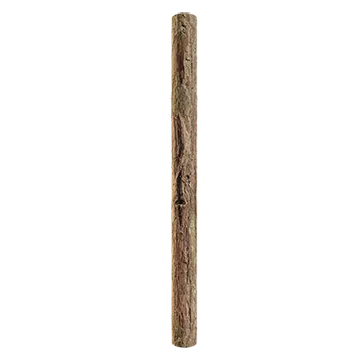 juniper branch bark 002 — Descargar
