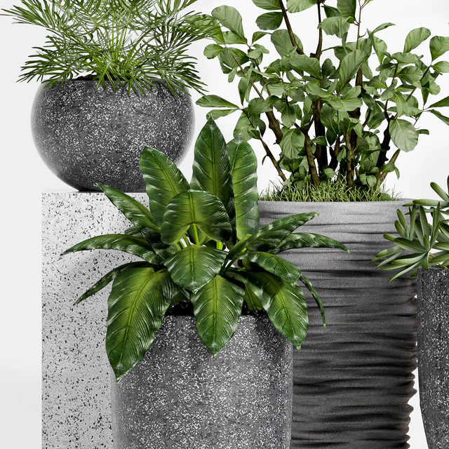 Plant set-115 — Descargar