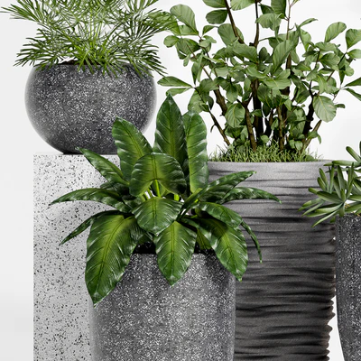Plant set-115 — Ver 2