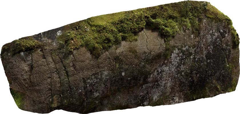 nordic forest ledge rock large 004 — Скачать