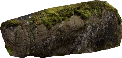 nordic forest ledge rock large 004 — Скачать