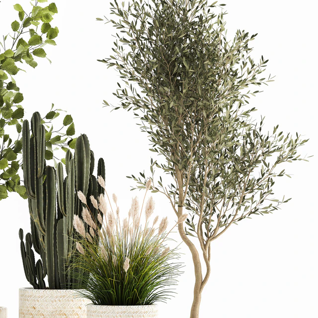Collection of plants in white baskets with pampas grass, tree, olive, cactus, Cereus, hazel, hazel. Set 1035. — Descargar