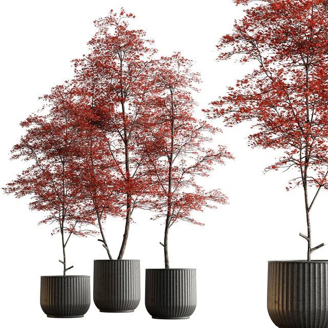 Indoor Plant 591 -Tree in Pot — Descargar