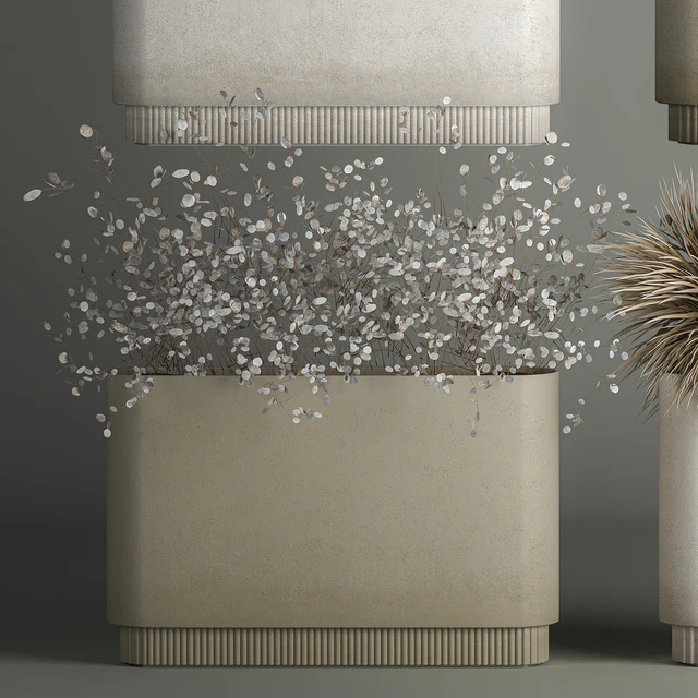 Collection of plant bouquets of dried flowers, moonflower, dry palm branches, dry grass, natural decor .1121. — Descargar