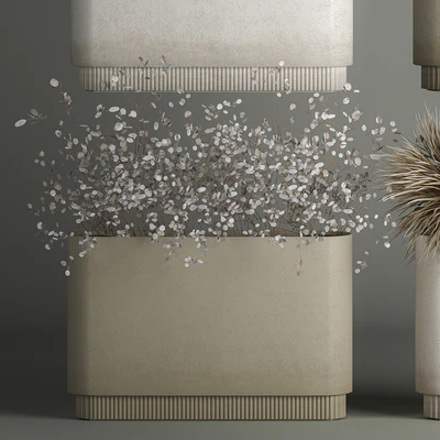 Collection of plant bouquets of dried flowers, moonflower, dry palm branches, dry grass, natural decor .1121. — Ver 3