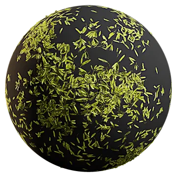 tree of heaven seeds 001 — Скачать