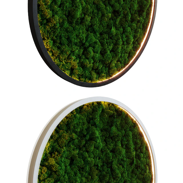 Moss wall — Descargar
