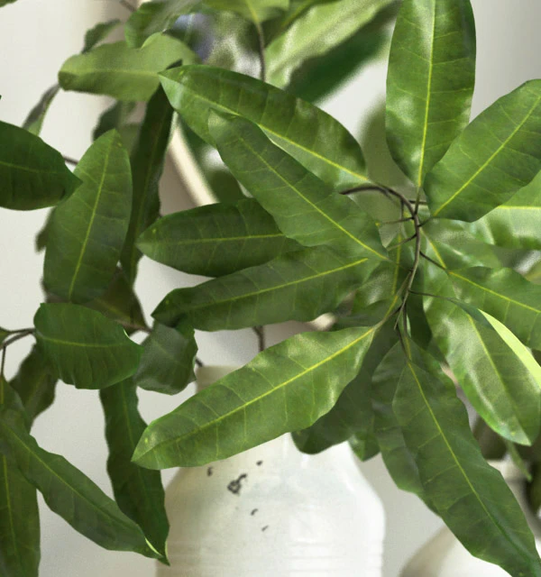 branches in a vase — Descargar