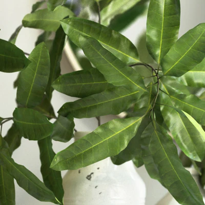 branches in a vase — Ver 3