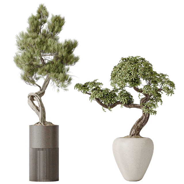 Indoor plant set 23 — Descargar