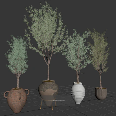 indoor plant olive set 01 — Ver 2