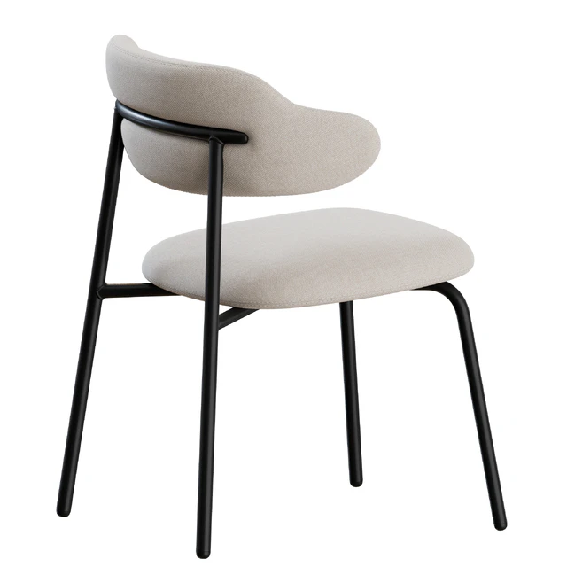 Aloa Dining Chair 02 by Artifort — Descargar