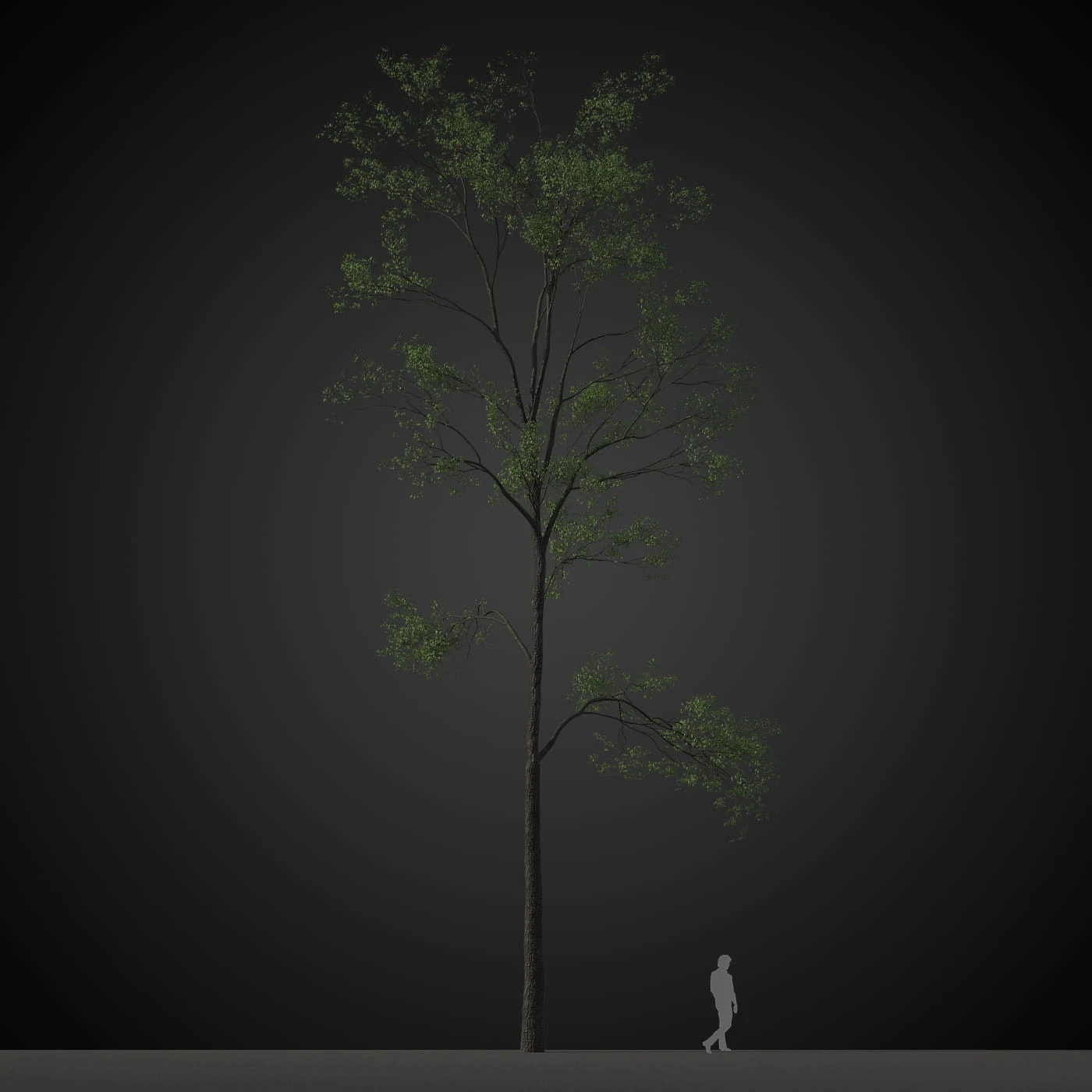 trees 032 — Descargar