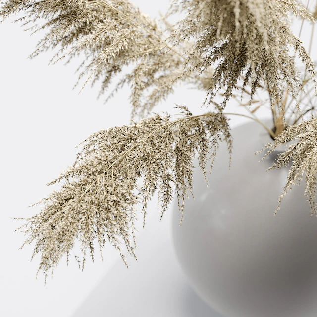 Vase with dried flowers 0001 — Descargar