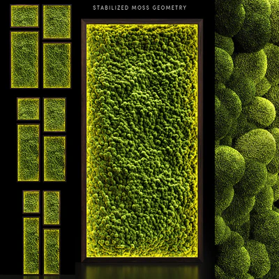 Mosswalls 2 — Ver 1