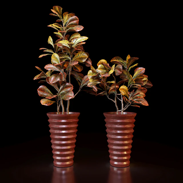 Red Croton — Скачать
