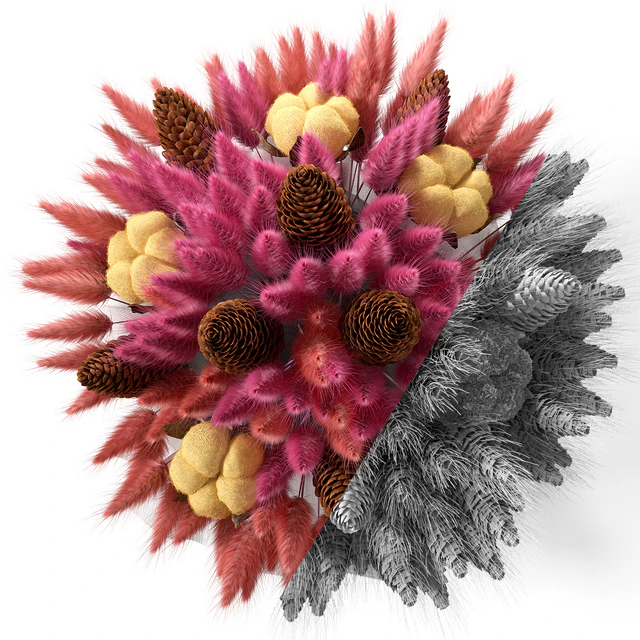 Lagurus bouquet — Descargar