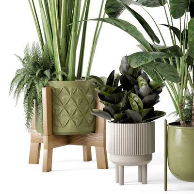 Indoor Plants in Standing Legs Small Bowl Concrete Pot - Set 563 — Ver 3