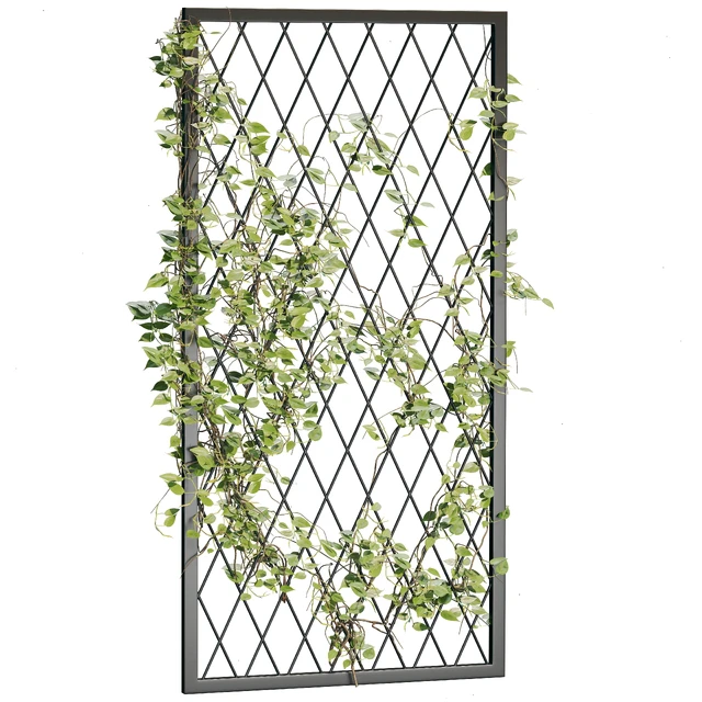 Ivy Plants 04 — Скачать