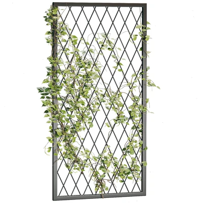 Ivy Plants 04 — Вид 2