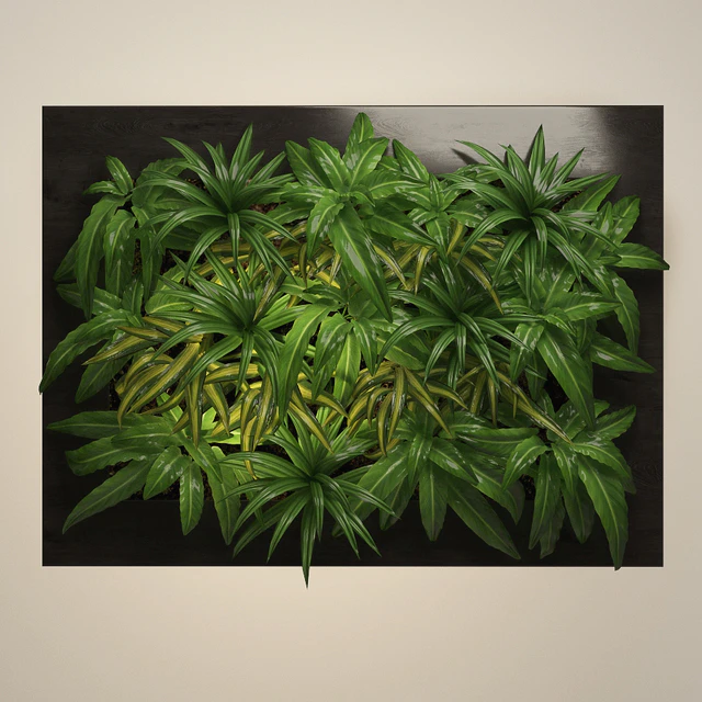 Fitowall 5 — Descargar