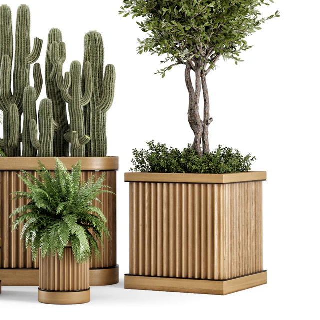 Indoor Plants Bush and Tree in Wooden Pot - Set 401 — Скачать