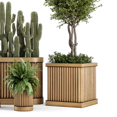 Indoor Plants Bush and Tree in Wooden Pot - Set 401 — Вид 2