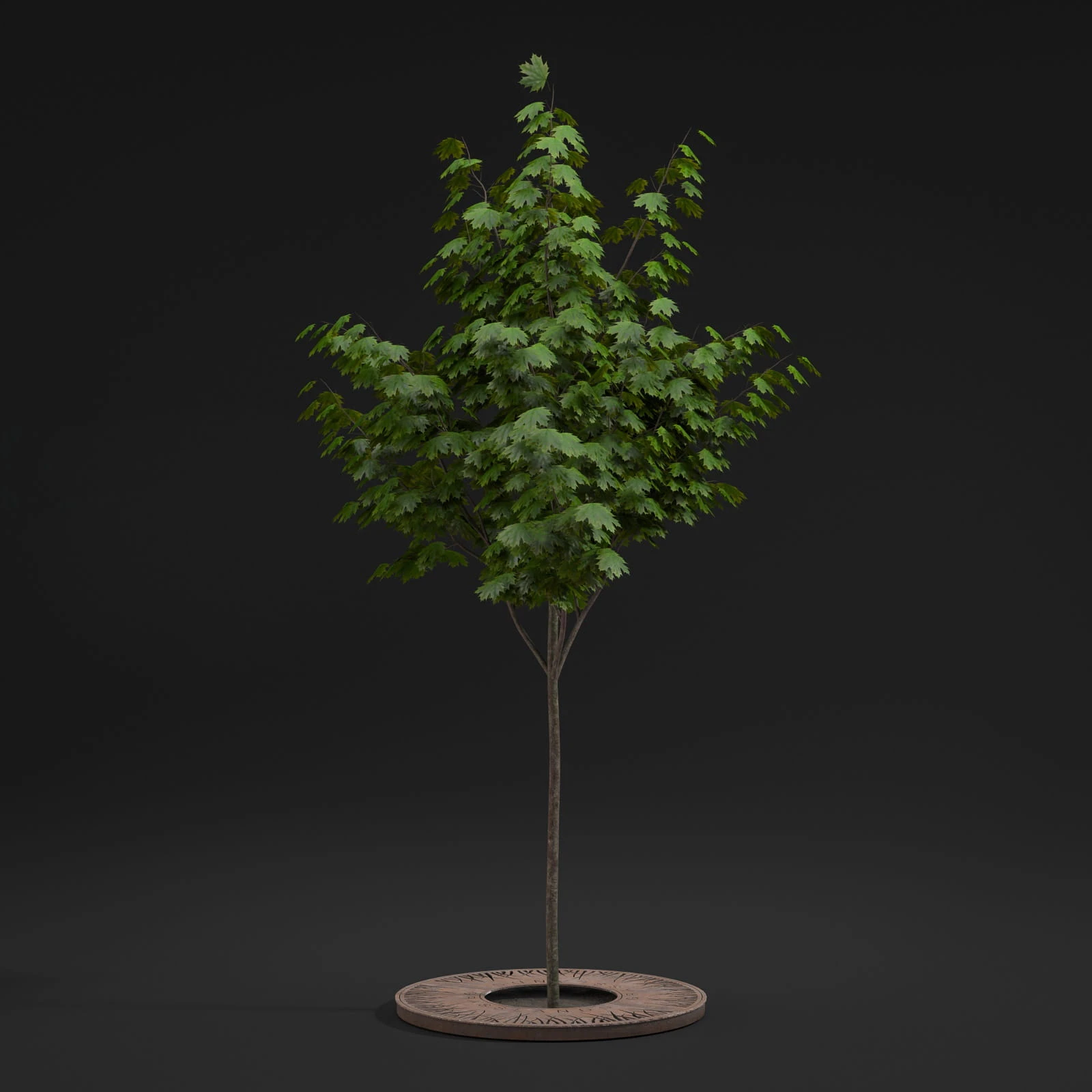 street props 043 — Descargar